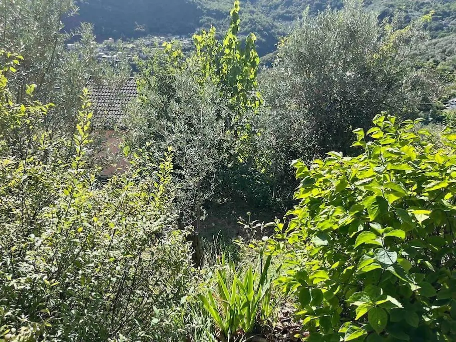 Villa Storica Del 1800 Uscio Italy